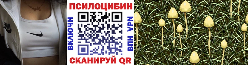 Галлюциногенные грибы прущие грибы Лакинск